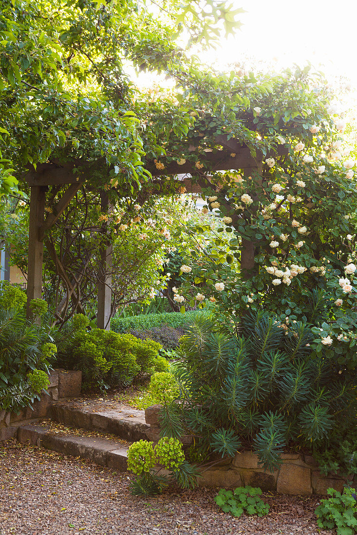 Wooden trellis with roses in a landscaped garden