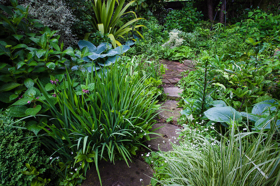 Path out of old millstones through a shady perennial garden