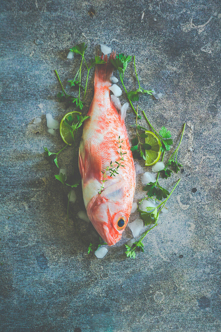 Bratfertiger Skorpionfisch mit Limetten und Petersilie