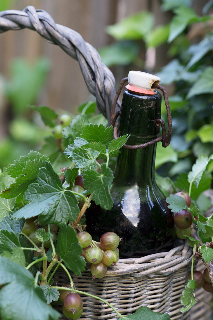 Gooseberry and currant juice