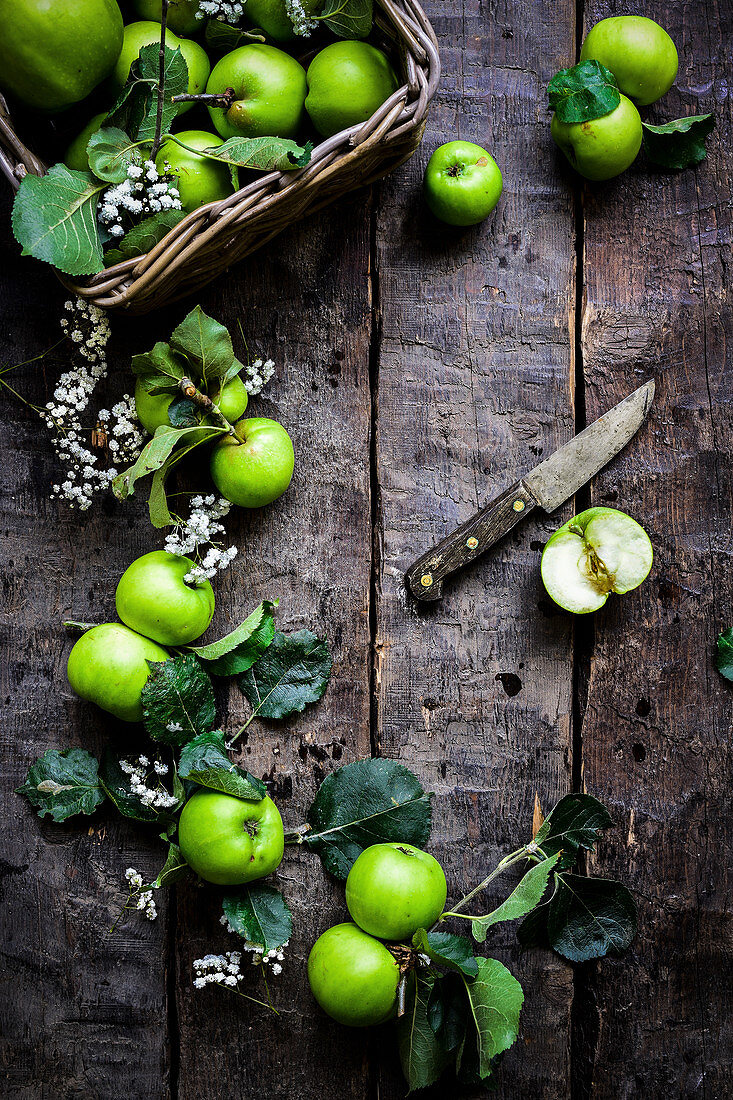 Stillleben mit Äpfeln der Sorte 'Bramley' auf Holzuntergrund (Aufsicht)