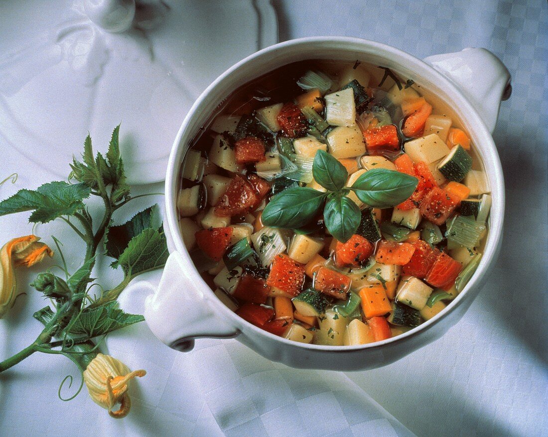 Minestrone (vegetable soup, Italy)