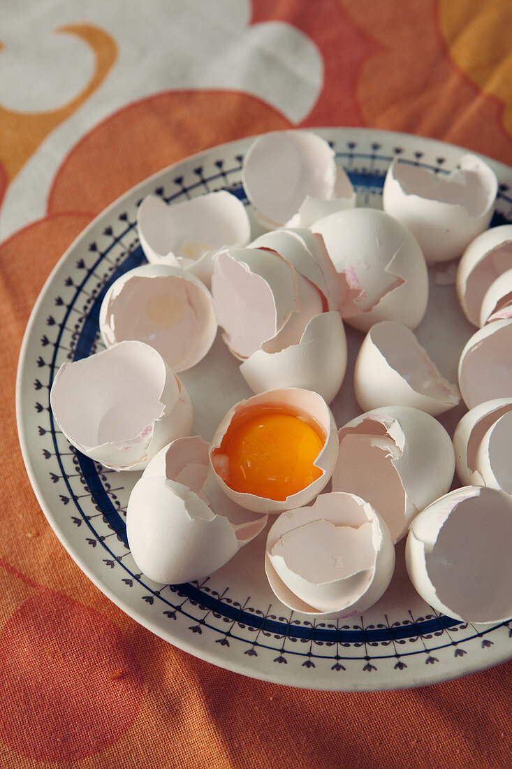 Aufgeschlagenes Ei und Eierschalen