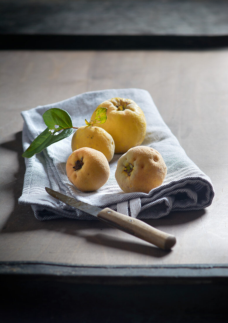 Quinces on a tea towel with a fruit knife