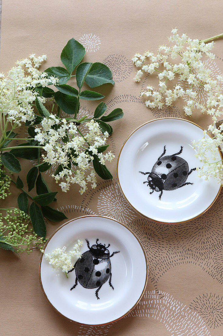 Still-life arrangement with elderflowers and plates with ladybird motifs on brown paper