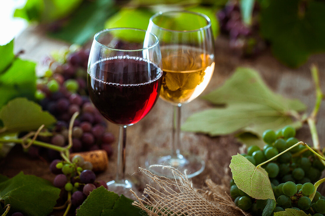 Zwei Gläser Rot- und Weißwein und Weintrauben