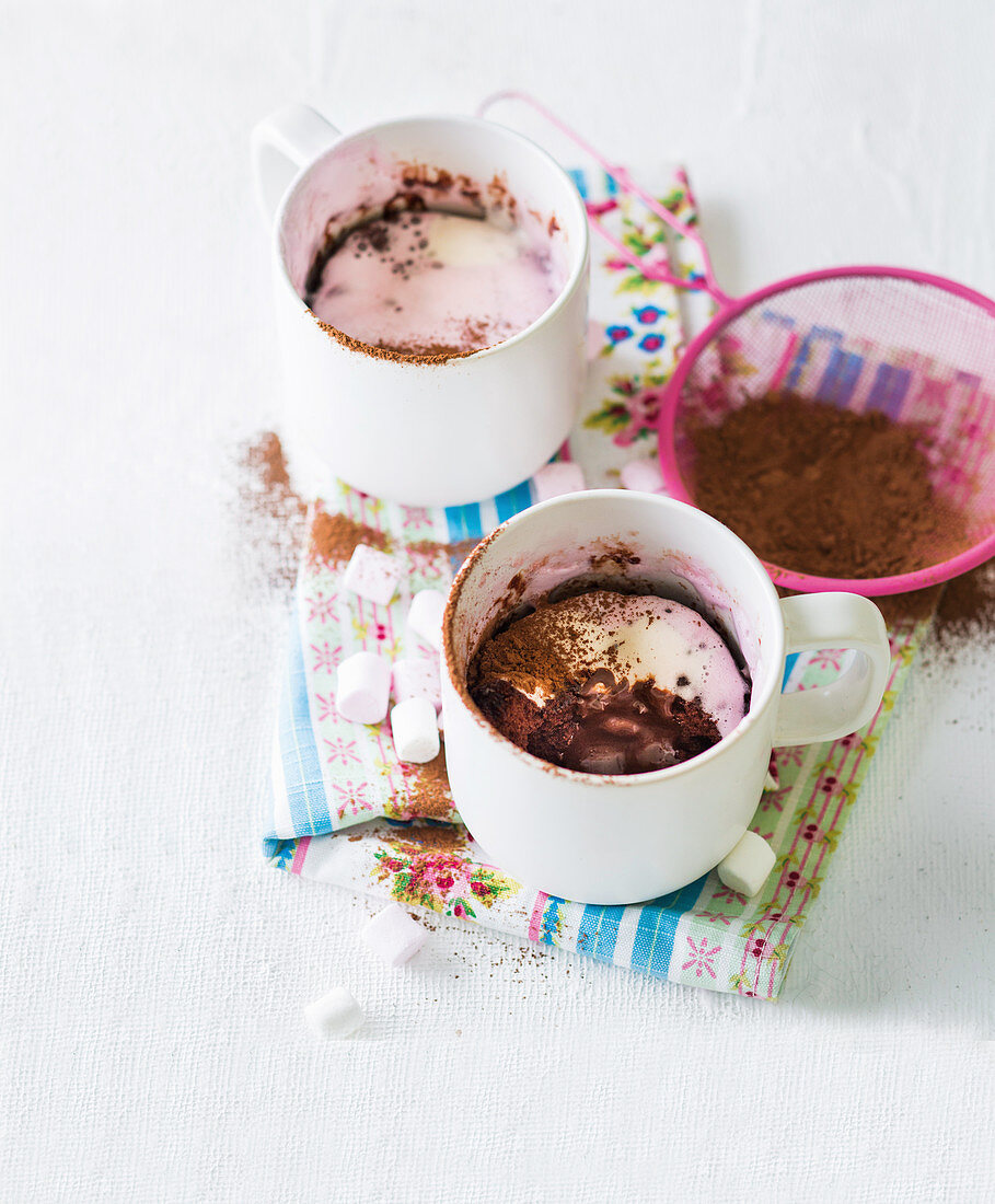 Nutella Mug Cakes mit Marshmallows