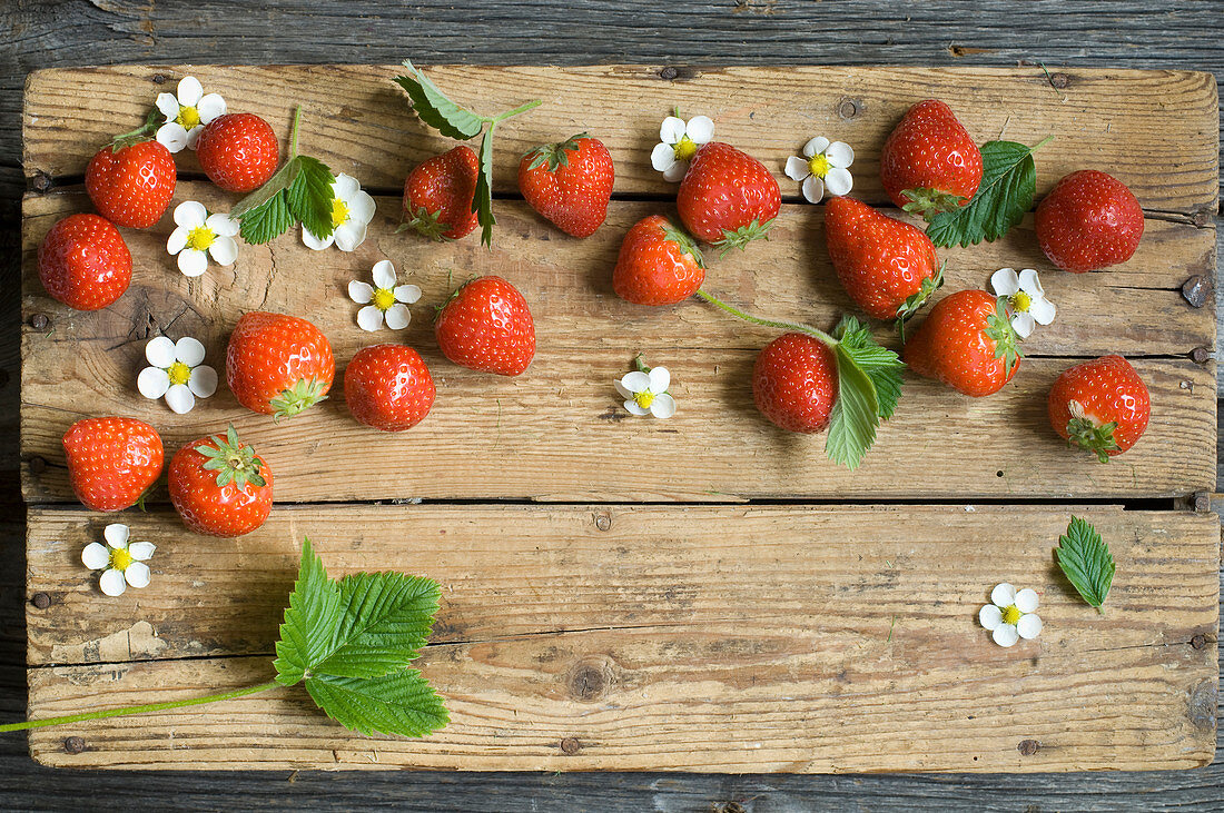 strawberries with leaves and flowers on a wooden board