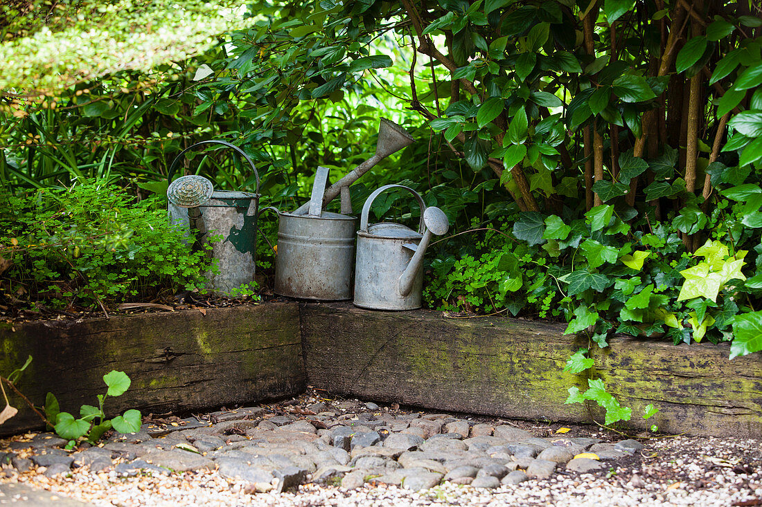 Three metal watering cans on a plank border
