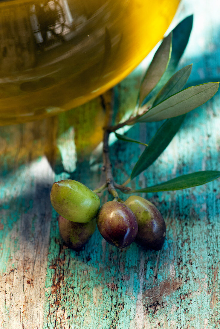 Olivenöl und frische Oliven