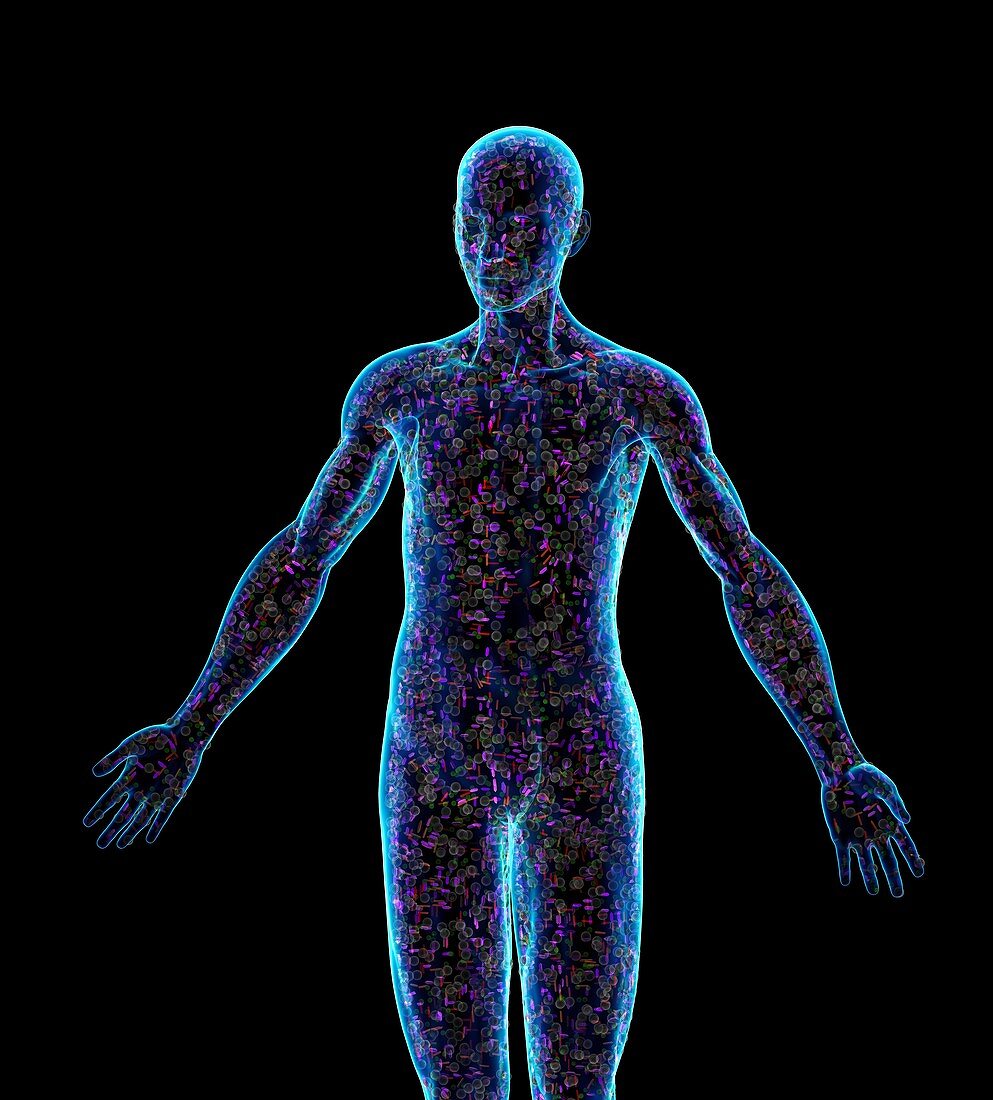 Cells in a human body, conceptual image