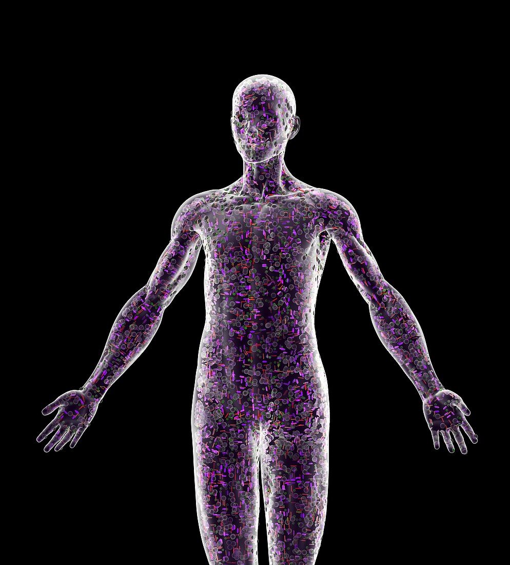 Cells in a human body, conceptual image