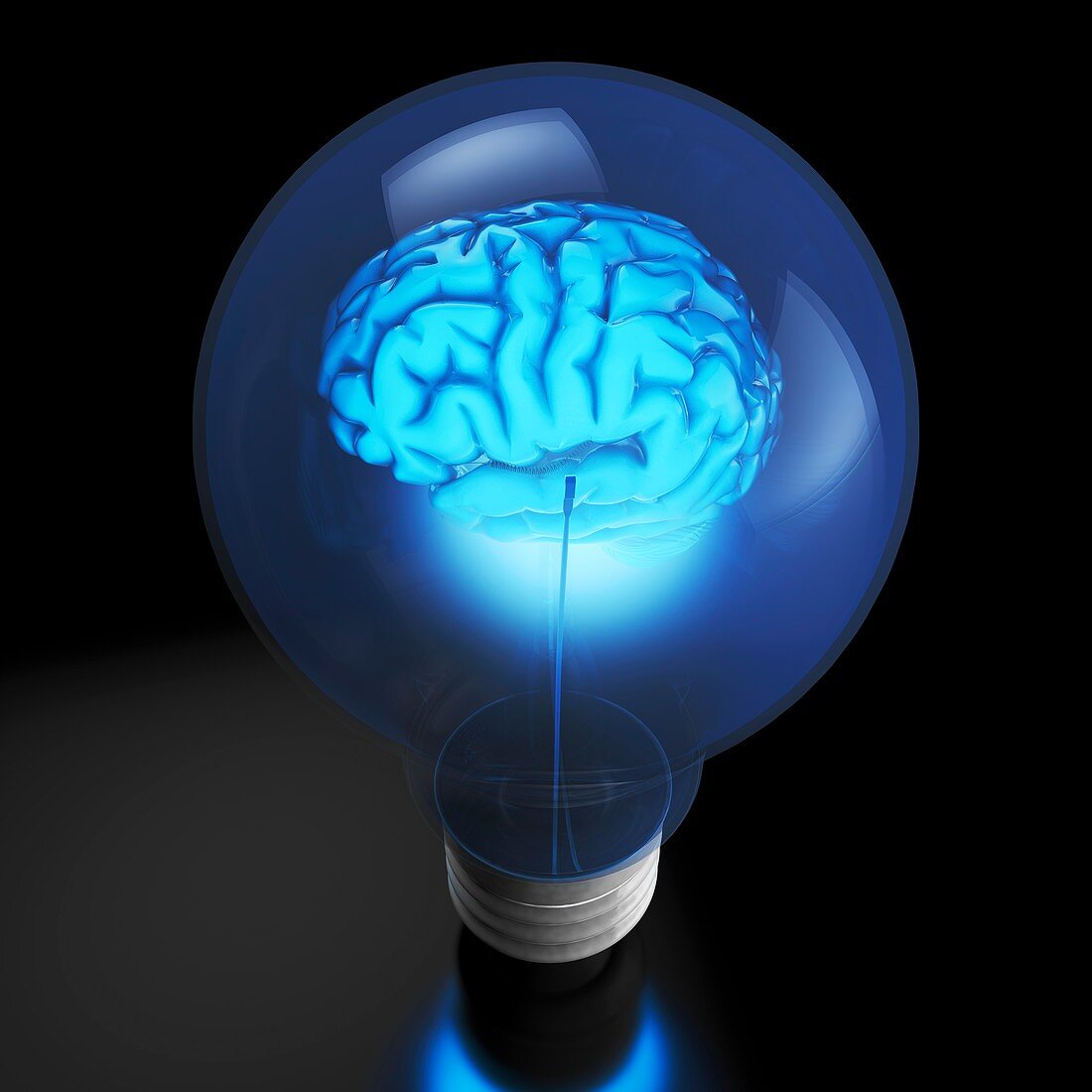 Brain power and light bulb, conceptual image