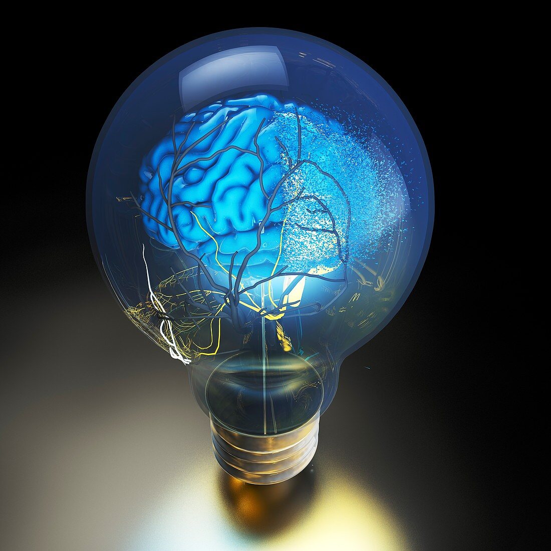 Brain power and light bulb, conceptual image
