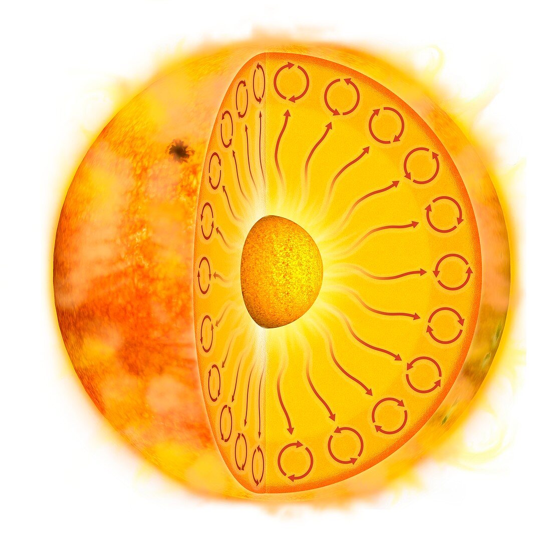 Internal structure of the Sun, illustration