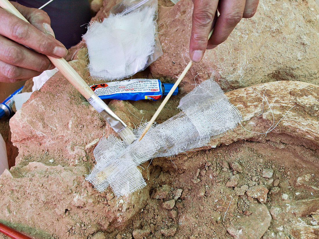 Fossil preservation at Neanderthal excavation site