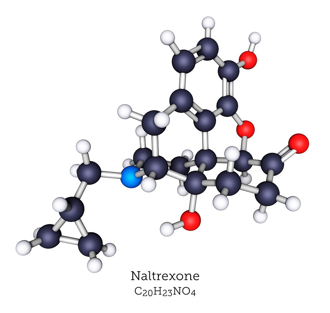 Naltrexone opioid treatment, molecular model