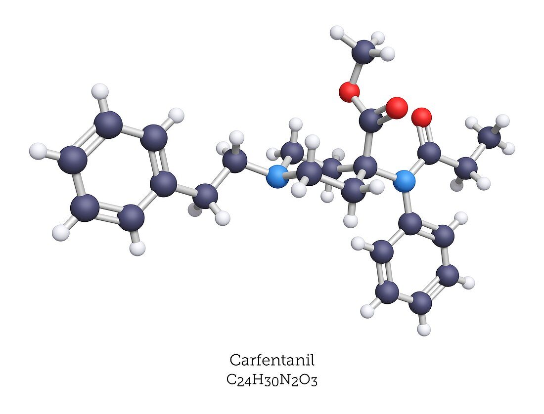 Carfentanil opioid drug, molecular model