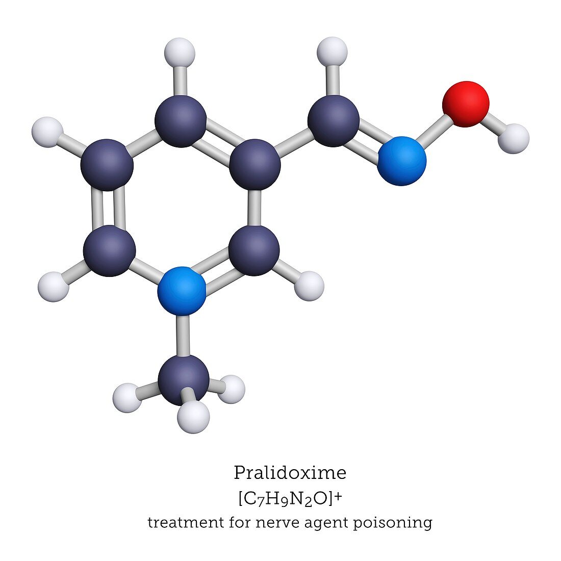 Pralidoxime poisoning treatment, molecular model