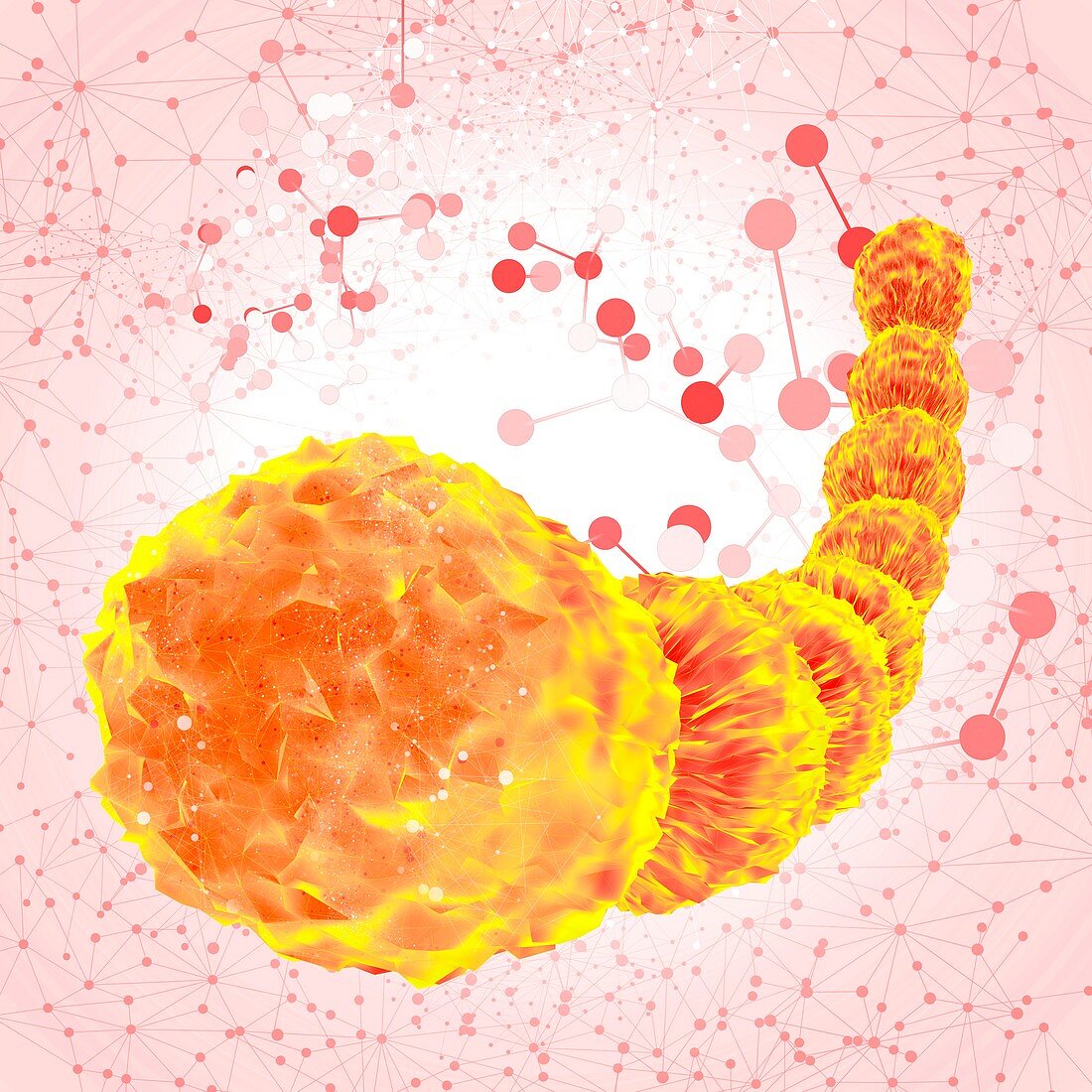 Orange archaea, illustration