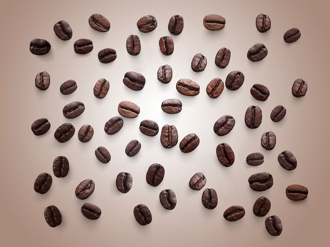 Coffee beans against a plain background