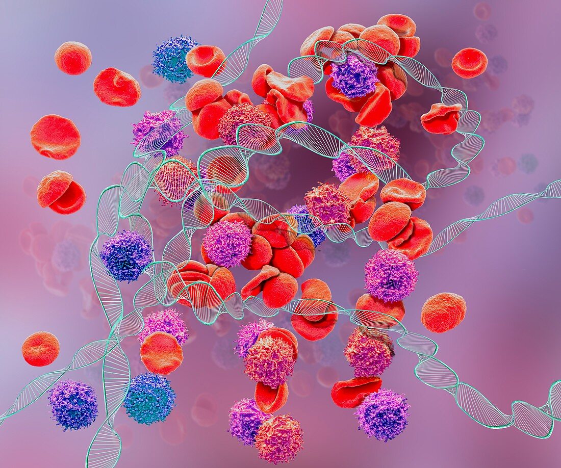 Leukaemia, conceptual composite image