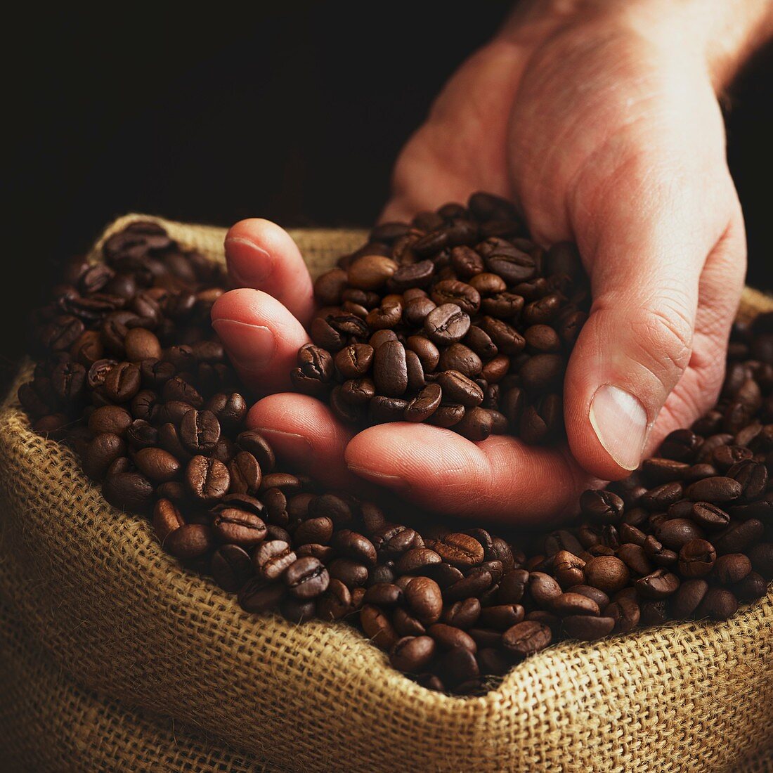 Person with hand full of coffee beans