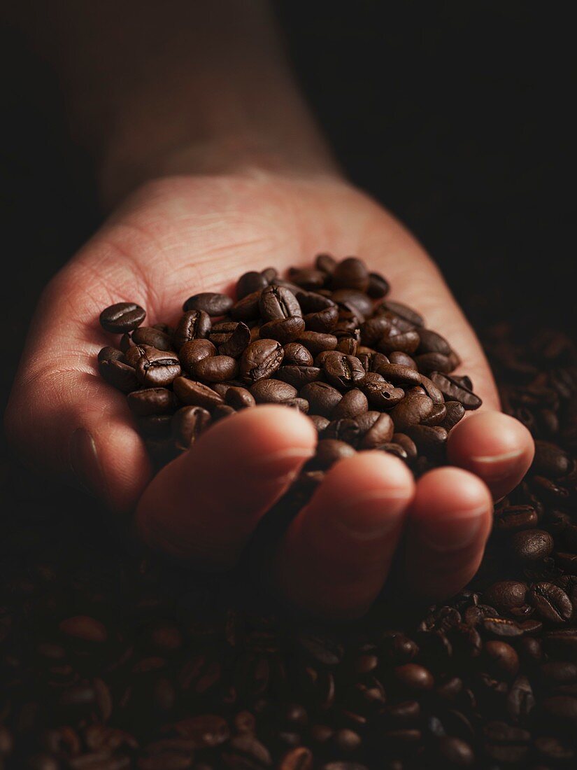 Person with hand full of coffee beans