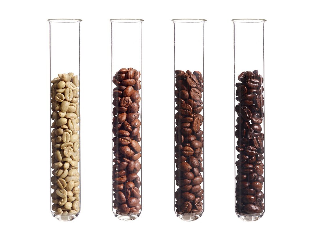 Raw, light, medium and dark roast coffee beans in test tubes