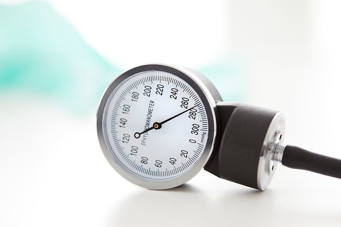 Blood pressure gauge