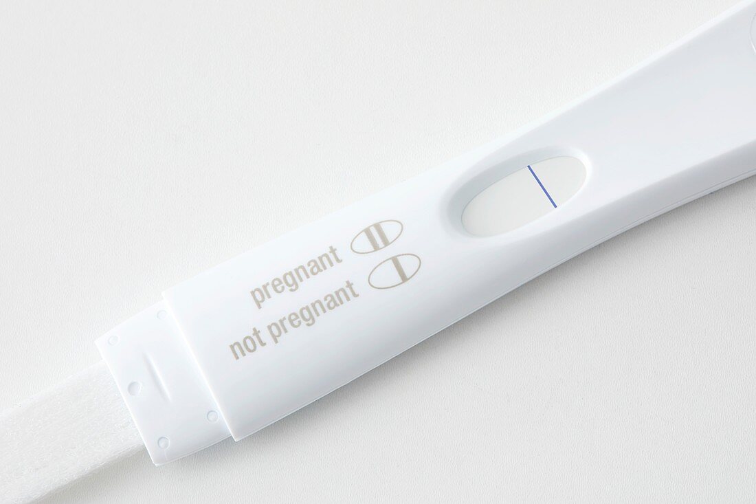 Pregnancy test showing negative result