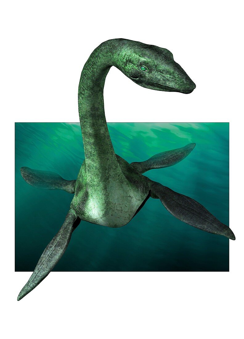 Loch Ness monster, illustration