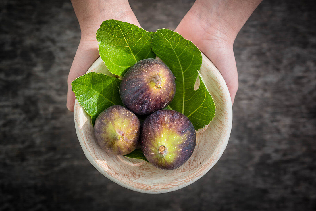 Bowl of Fresh Figs in Hand