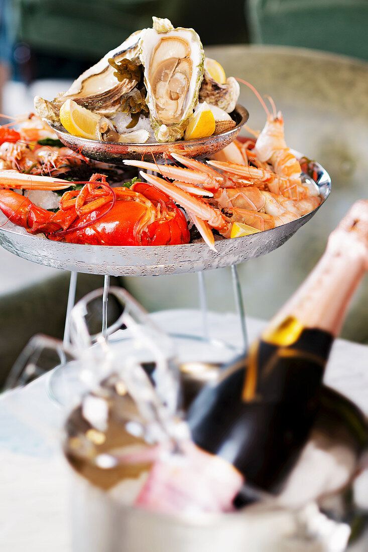 Fresh sea food on a plate served with champagne