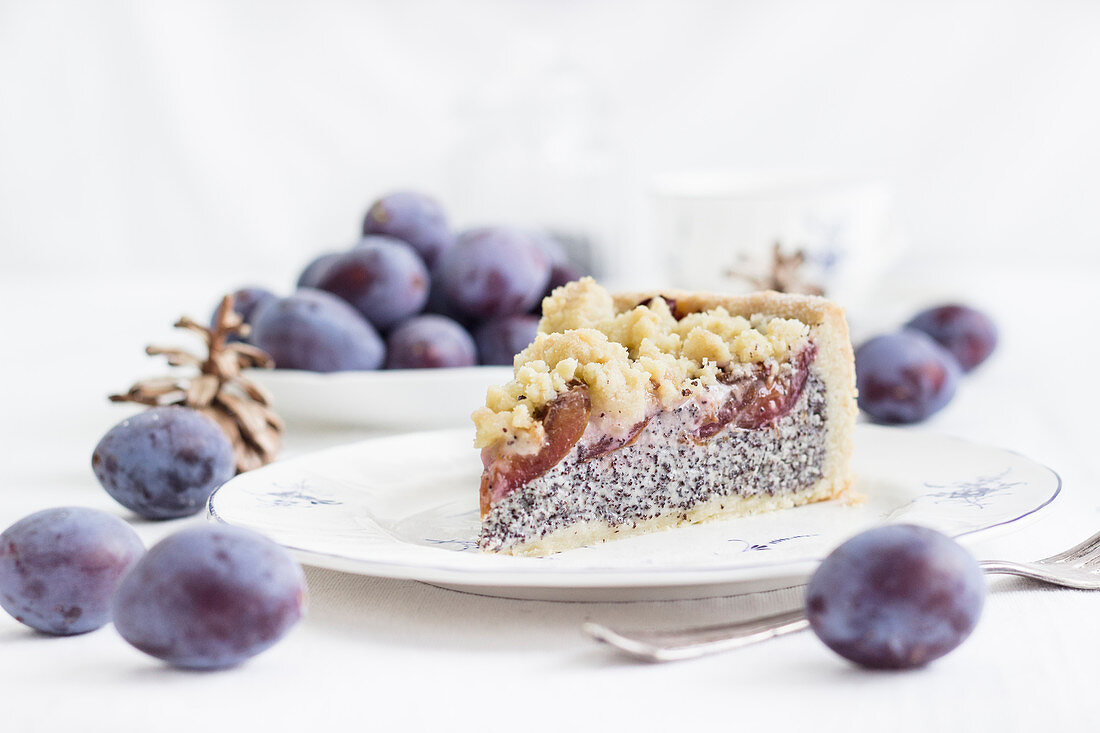 Autumnal damson and poppyseed quark cake