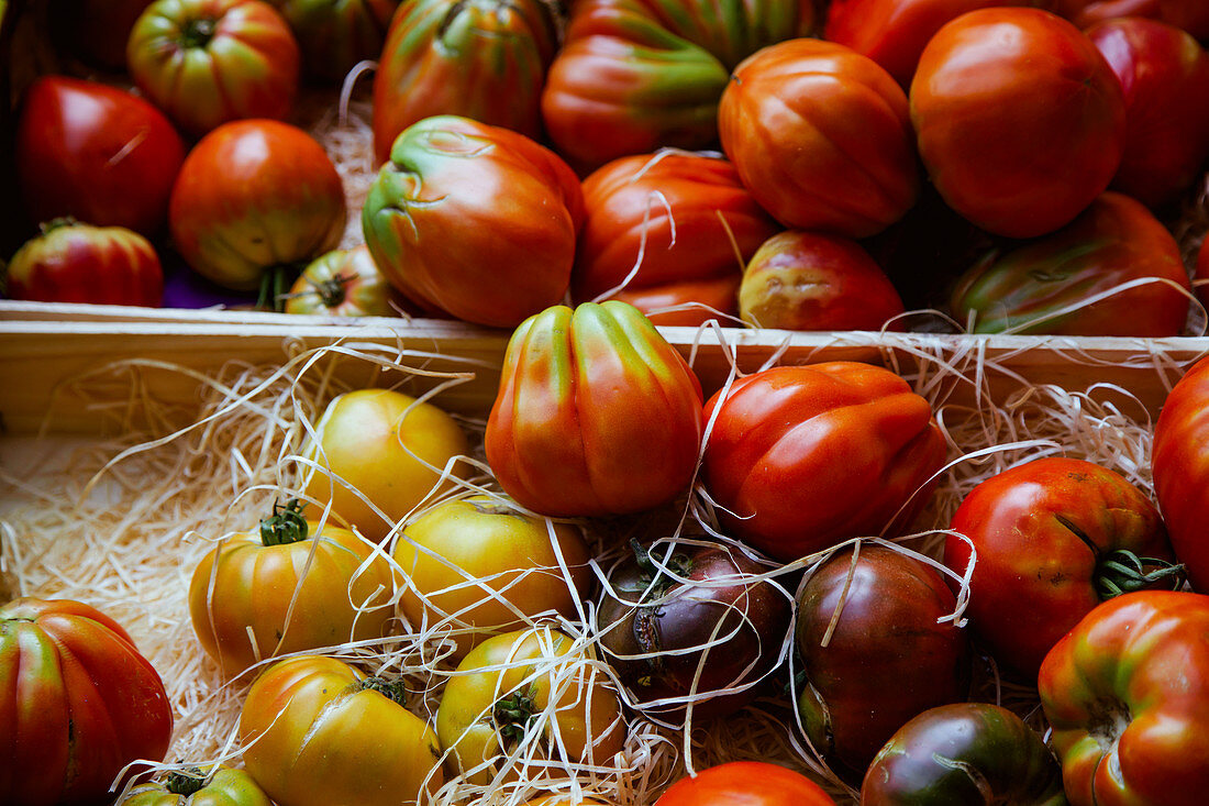 Fresh colorful tomatoes at the stall in a city market in France