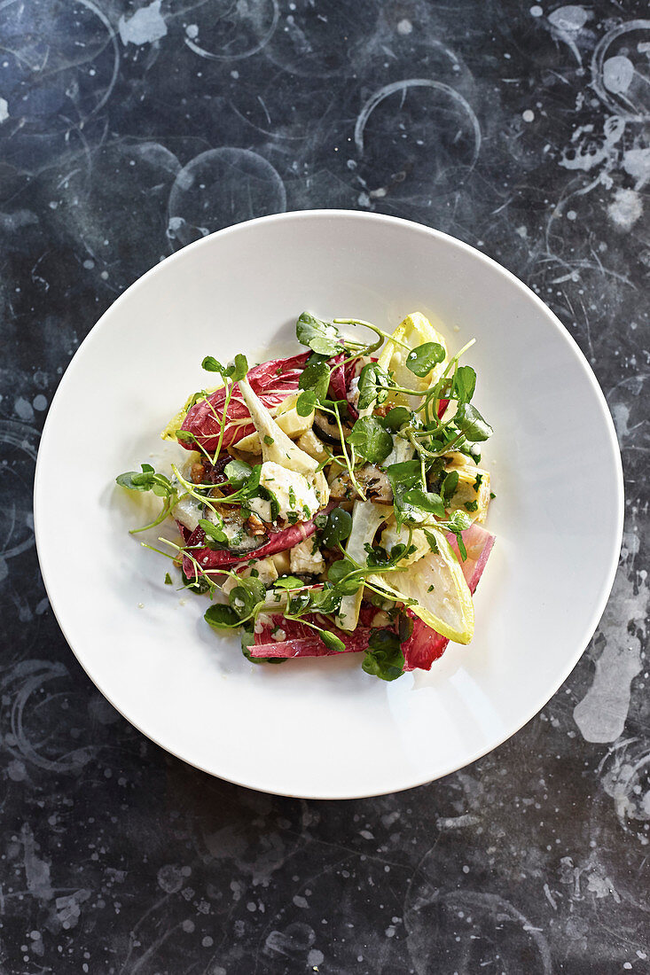 Chicory, Radicchio, Artichoke and cheese salad