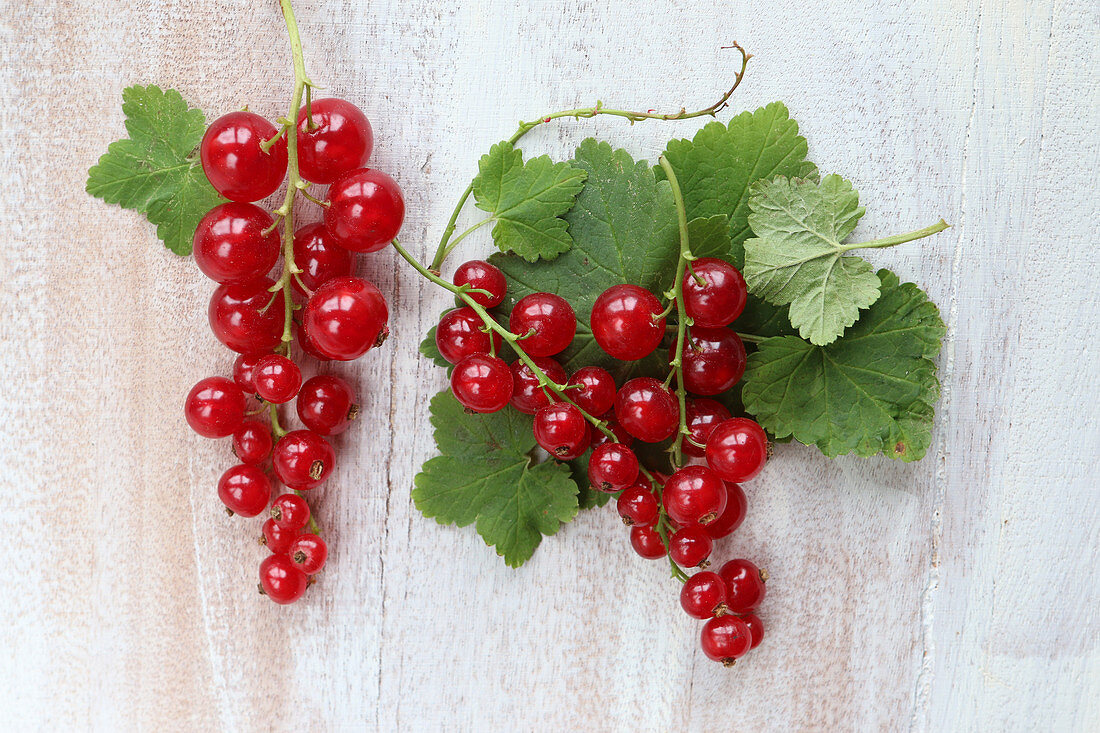 Redcurrants with leaves on a white wooden surface