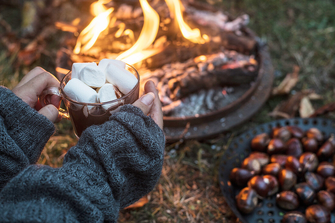 Marshmallows und geröstete Kastanien am herbstlichen Lagerfeuer