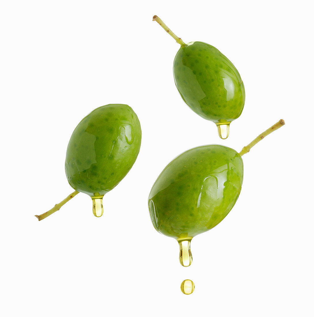 Olivenöl tropft von grünen Oliven
