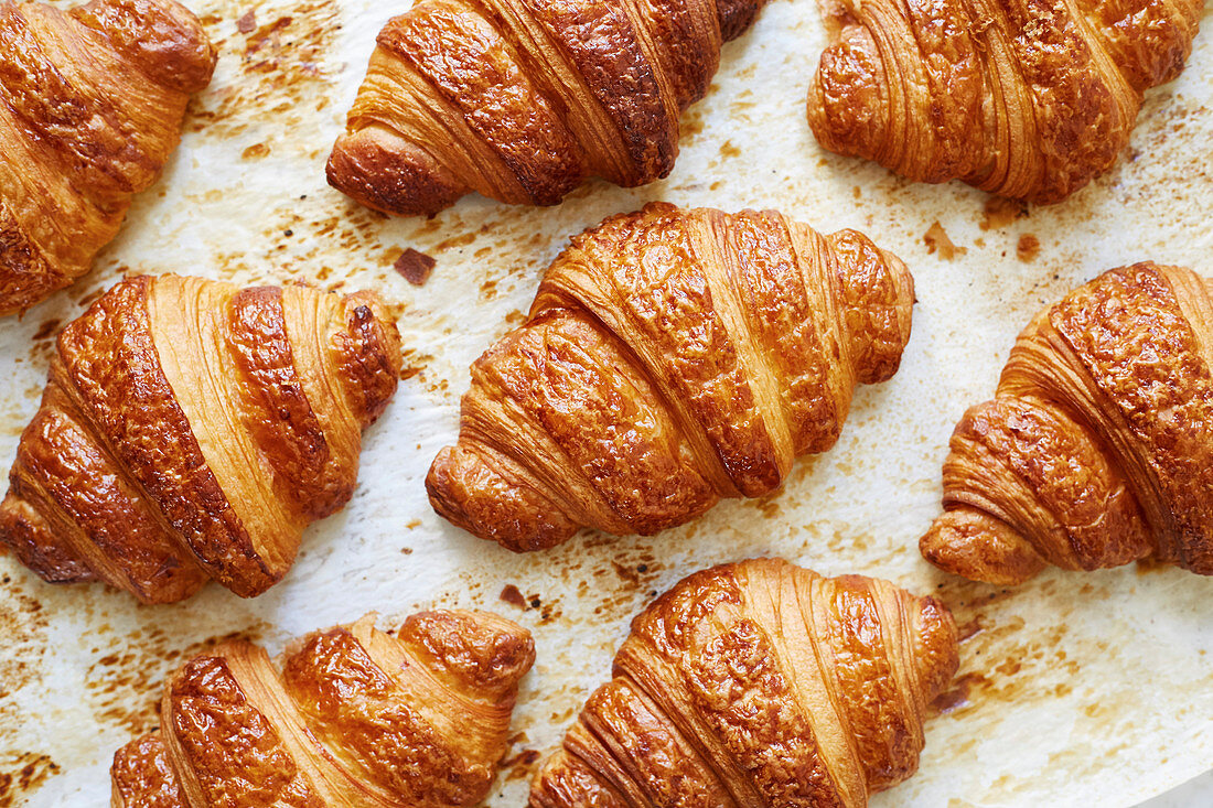 Frisch gebackene Croissants auf Backpapier