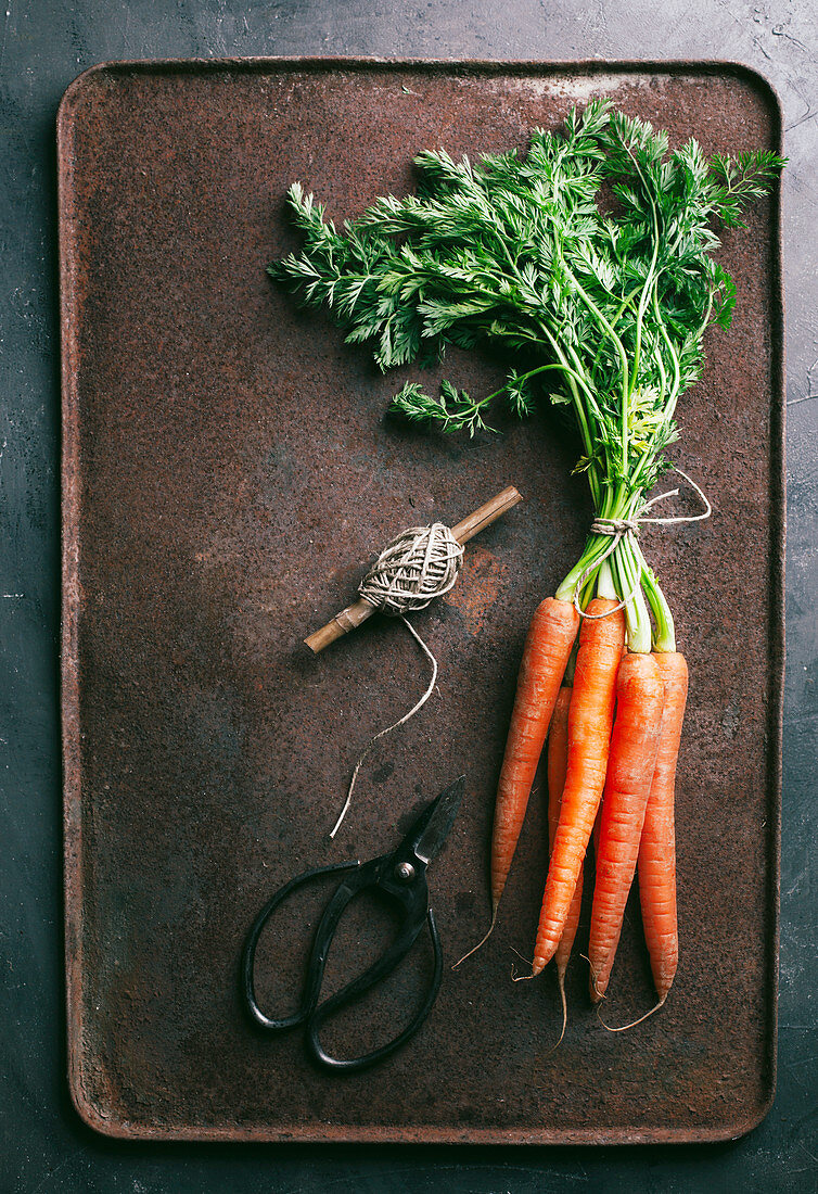 Bunch of fresh carrots in dark metallic background