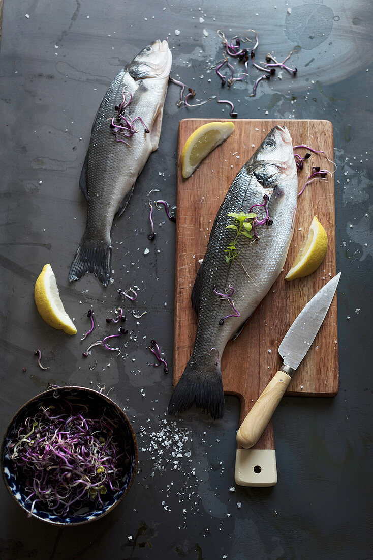 Raw sea bass prepared for being cooked