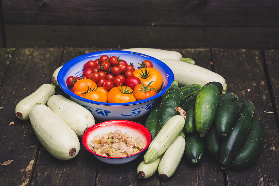 Freshly harvested white zucchini, cucumbers, physalis, beef tomatoes and cocktail tomatoes