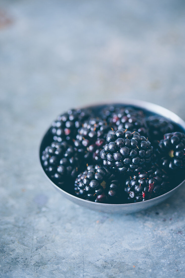 Ein Schälchen frische Brombeeren