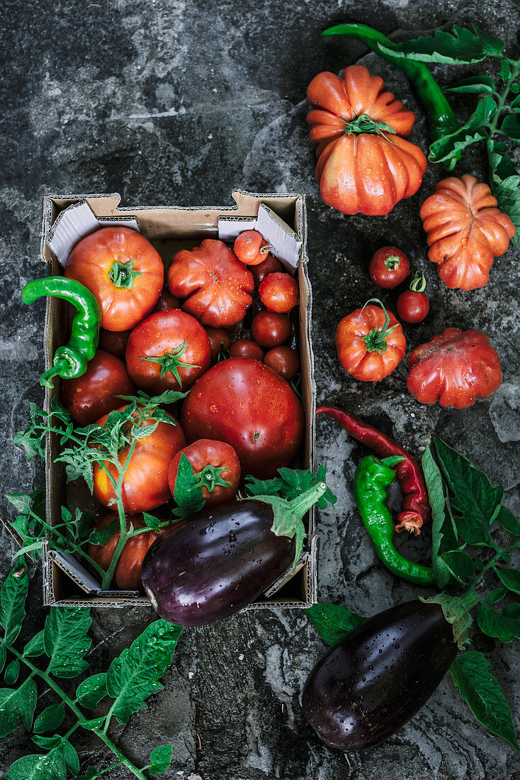 Tomatoes and vegetables on a dark background