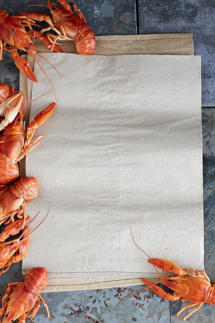 Crayfish and parchment paper