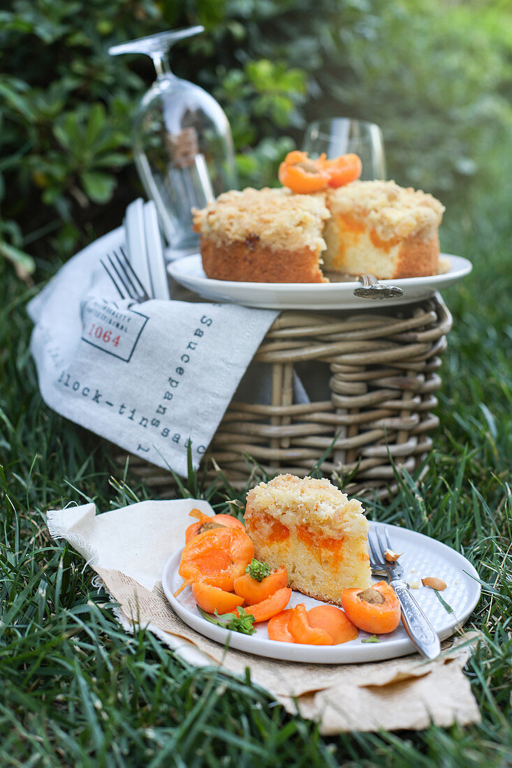 Aprikosenkuchen mit Streuseln fürs Picknick