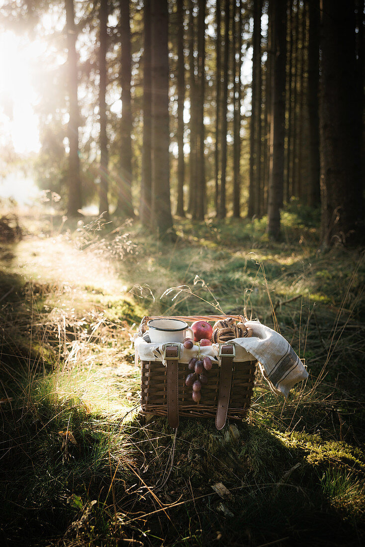 Picknickkörbchen im Wald, gefüllt mit veganem Schokoladenbrötchen, Obst und Kaffee
