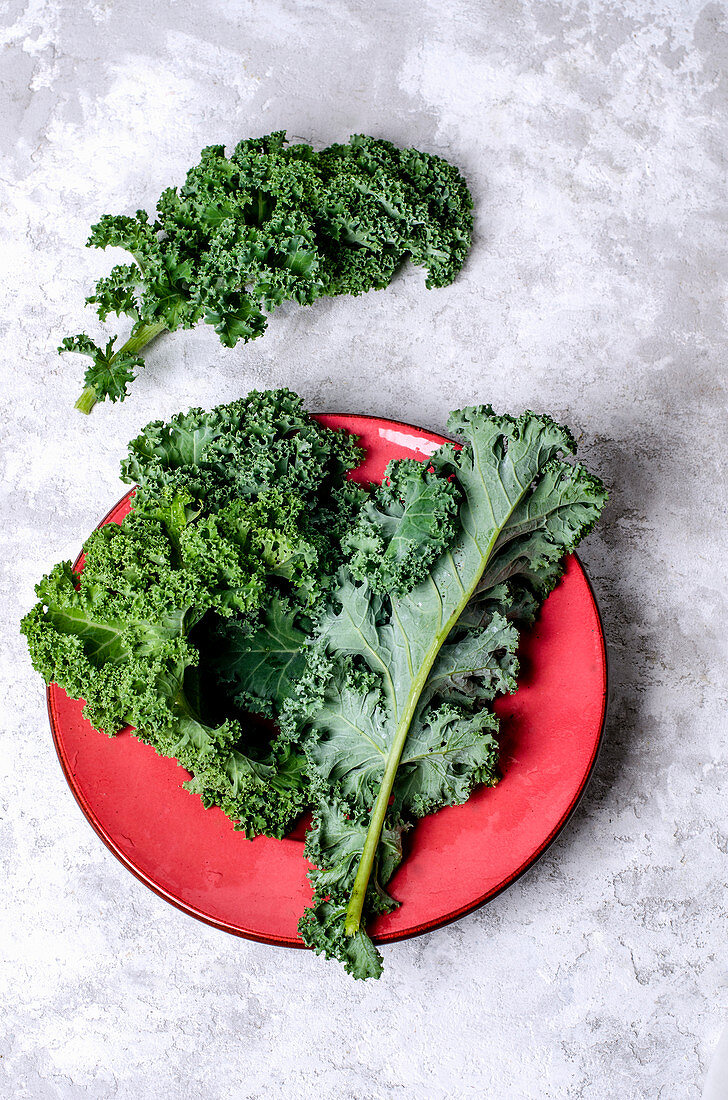 Fresh kale leaves on a red plate and on a concrete background